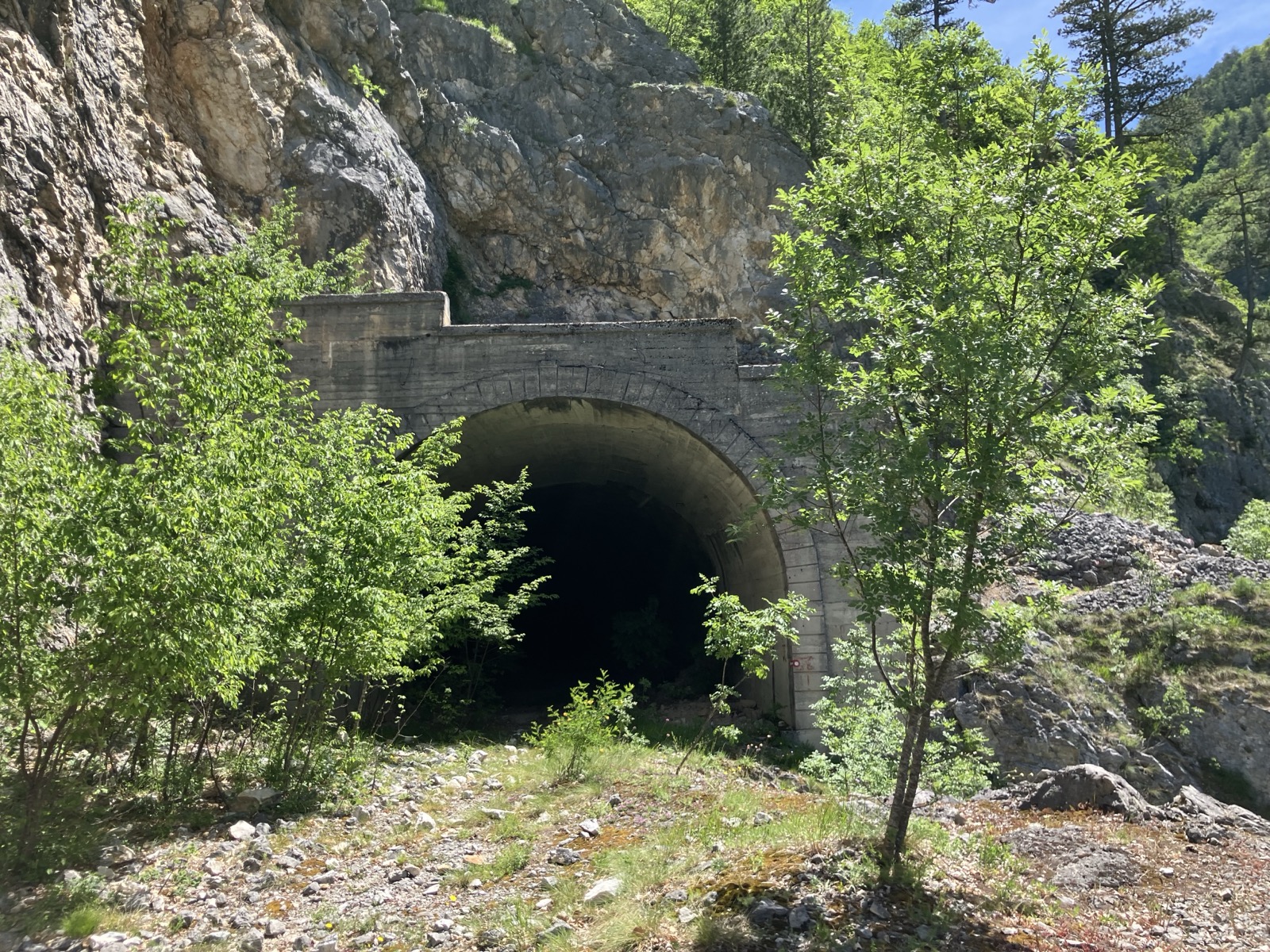 Second Image