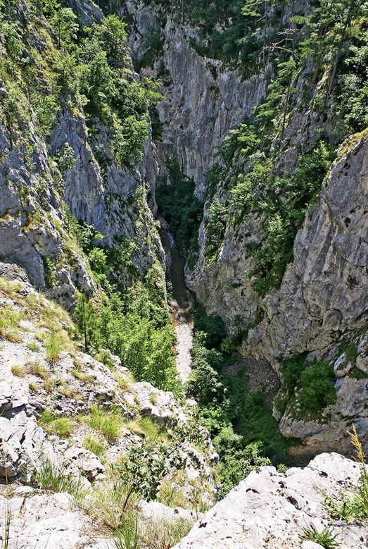 Second Image